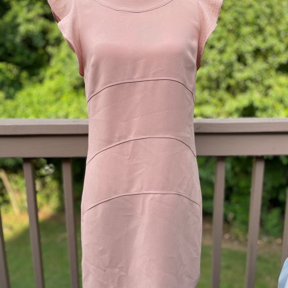 NWT Ann Taylor Loft Pale Pink Peach Ruffle Cap Sleeve Dress Size 4 Wedding Guest - Picture 2 of 6